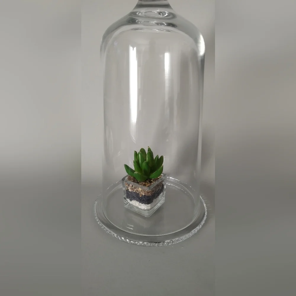 Hearth & Hand Magnolia Glass Dome Cloche With Box 12 Inch New decor New